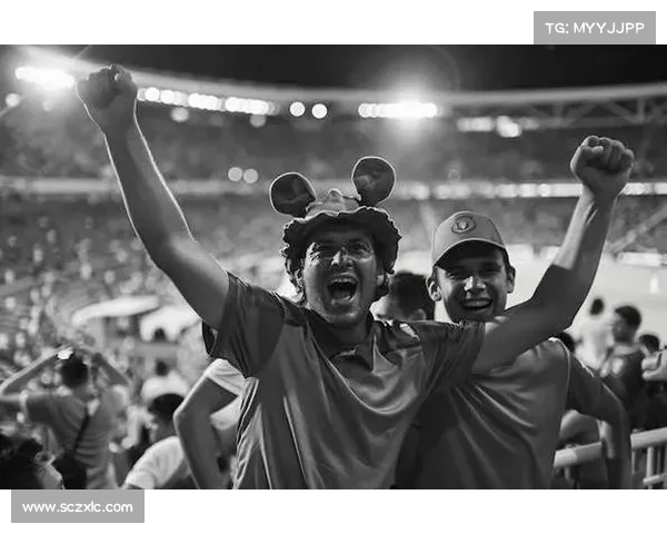 2016体育盛宴：里约奥运荣耀绽放，欧洲杯足球巅峰对决燃情全球