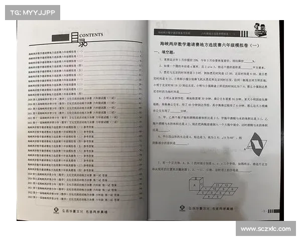 浙江海峡两岸数学官网