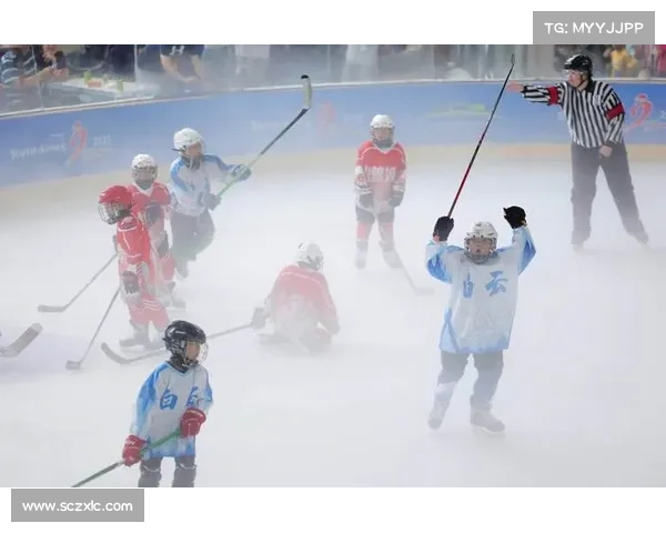 冰球排行榜nhl 冰球最新赛事排名榜单震撼揭晓