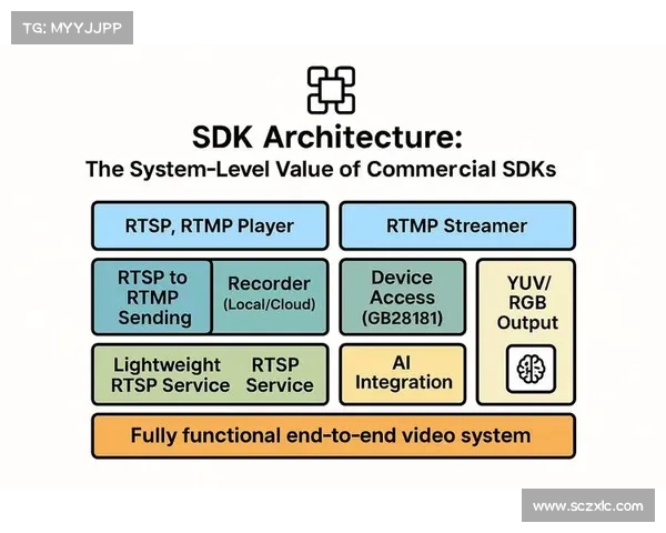 首席赛事总监英文核心职责与实战技巧深度解析指南